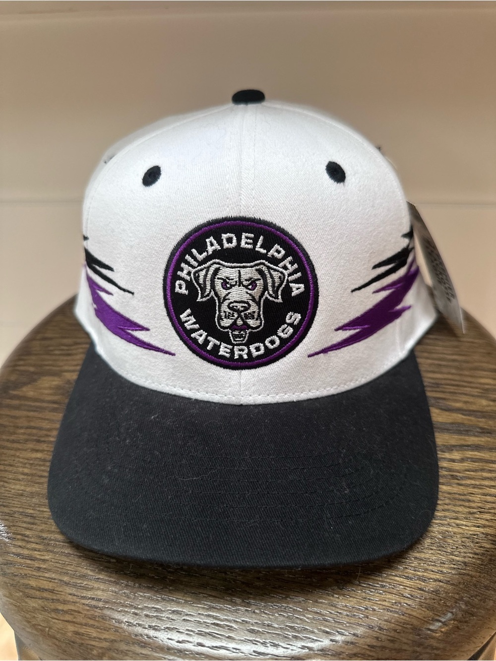 Philadelphia Waterdogs White & Black Snapback Hat with Purple Accents